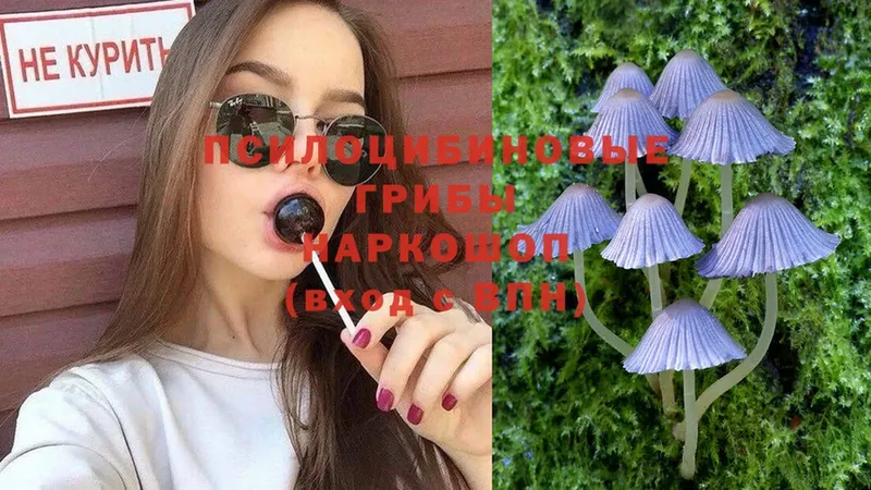 omg вход  Венёв  Псилоцибиновые грибы мухоморы 